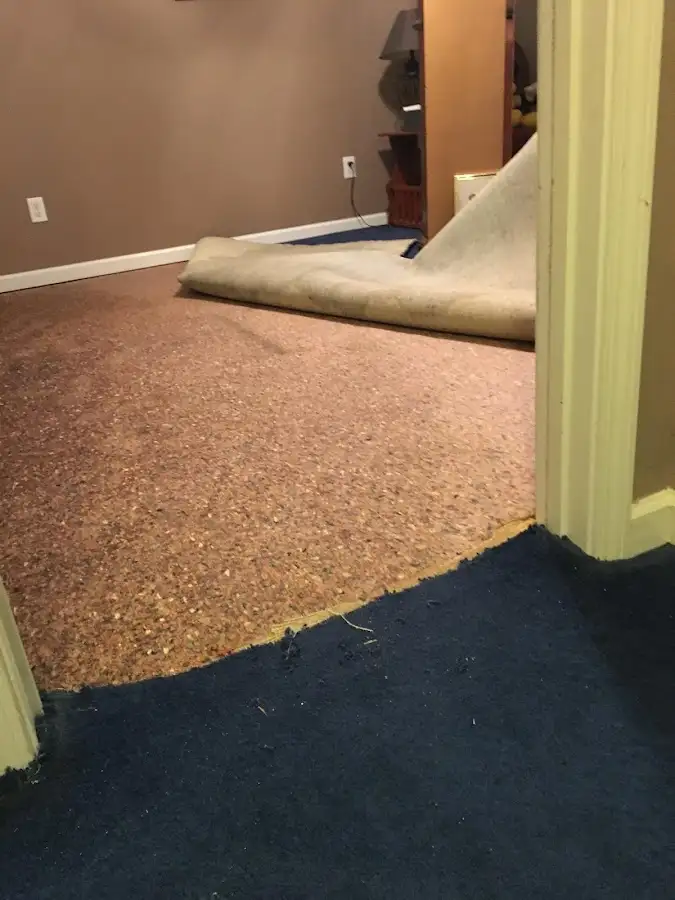 Carpet pad removal revealing water damage during Water Mitigation Services in Slippery Rock