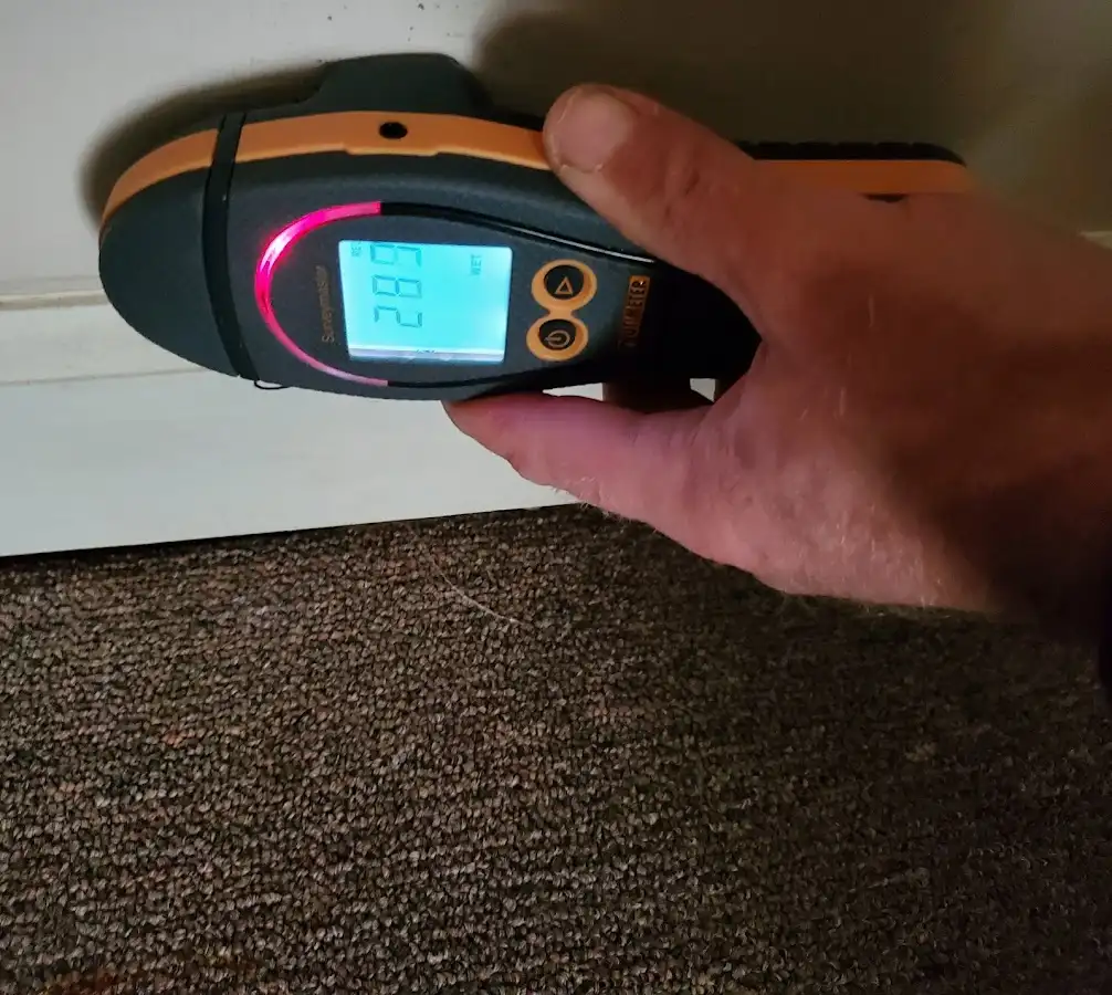 Moisture detection at baseboard during Sewage Cleanup & Sanitation in Slippery Rock